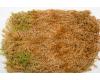 Classic 100gm Pack New Zealand Sphagnum Long Stand Moss Classic